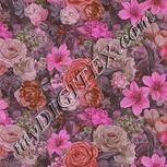 Colour:B