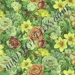 Colour:K