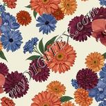 Colour:A