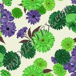 Colour:D