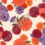 Colour:J