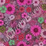 Colour:B