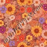 Colour:J