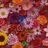 Colour:A