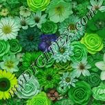 Colour:D