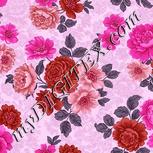 Colour:B
