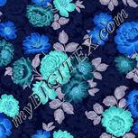 Colour:F