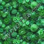 Colour:C