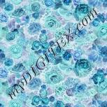 Colour:F