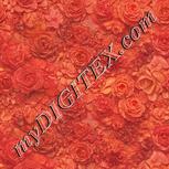 Colour:J