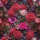 Colour:B