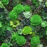Colour:D