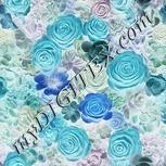 Colour:F