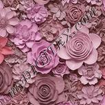Colour:B