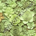 Colour:K