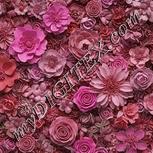 Colour:B