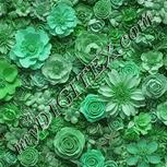 Colour:C