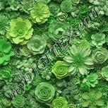 Colour:D