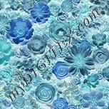 Colour:F