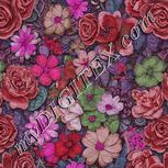 Colour:B