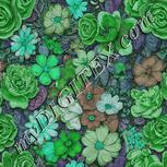 Colour:C