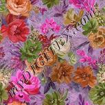Colour:B