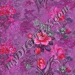 Colour:B