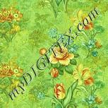 Colour:K
