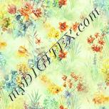 Colour:K