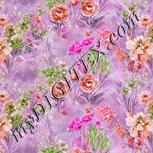 Colour:B