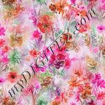 Colour:B
