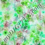 Colour:C