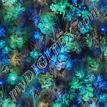 Colour:F