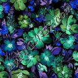 Colour:F