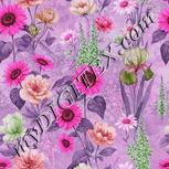 Colour:B