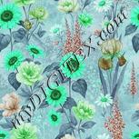 Colour:C