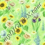 Colour:K