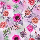 Colour:B