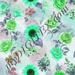 Colour:C