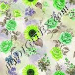 Colour:D