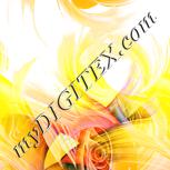 Colour:J