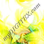 Colour:K