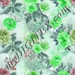Colour:C