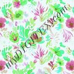 Colour:C