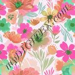 Colour:B