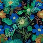 Colour:F