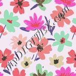 Colour:B