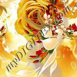 Colour:A