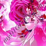 Colour:B