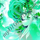 Colour:C